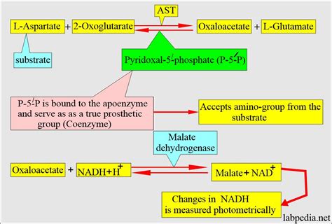 aspartate amino transf (ast/sgot)|aspartame amino trans.